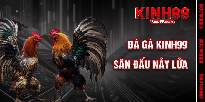 Đá Gà KINH99 - Sân Đấu Nảy Lửa, Cược Là Trúng